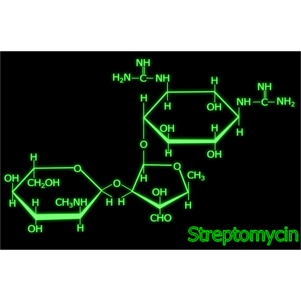 SVG Streptomycin structure