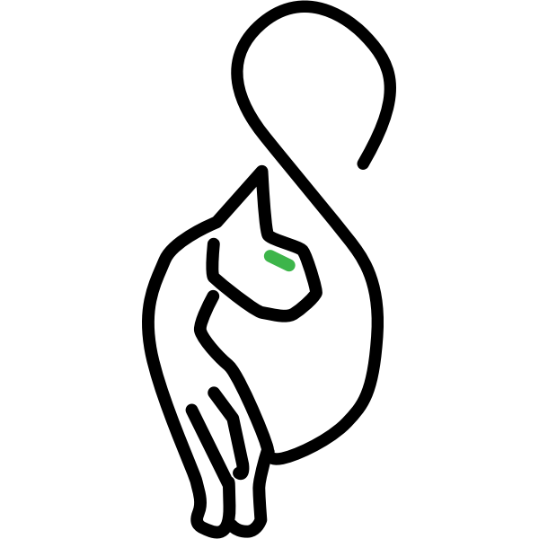 SVG stylized kitty cat
