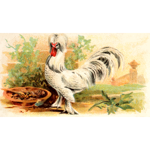SVG Sultan Fowl