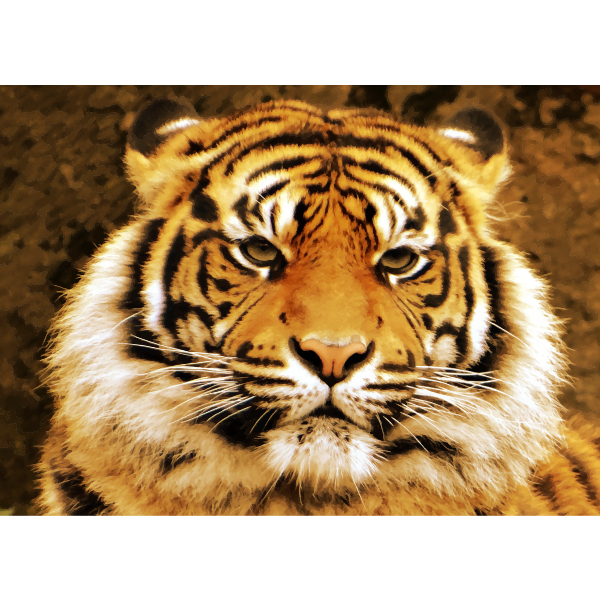 SVG Sumatran tiger