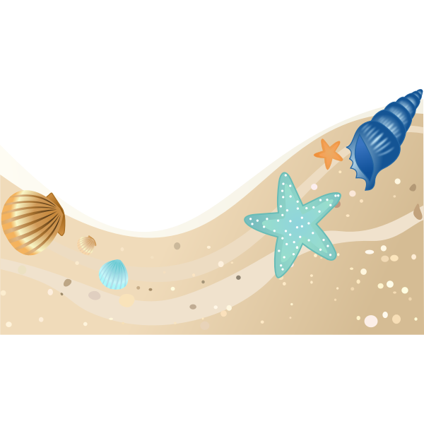 SVG Summer beach with seashells vector image