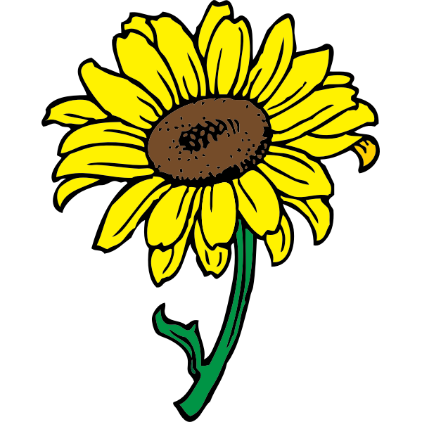 SVG sunflower