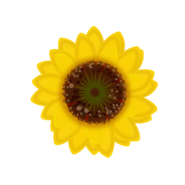 SVG Sunflower