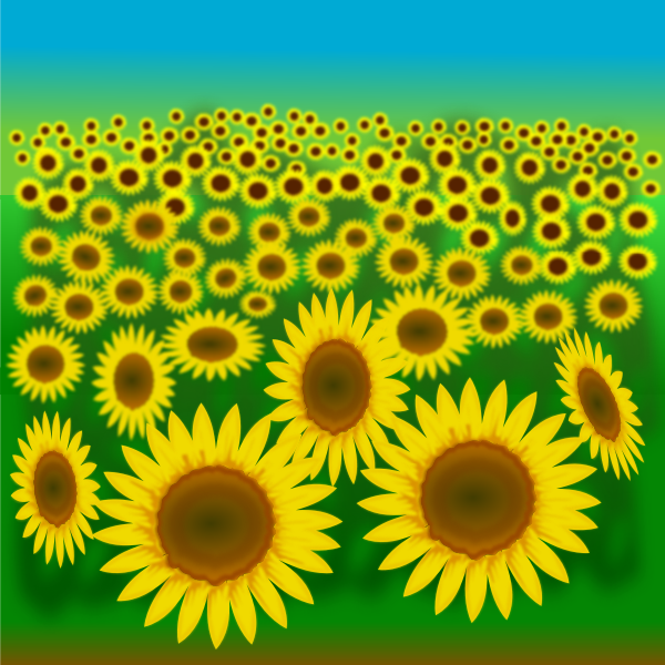 SVG Sunflower field