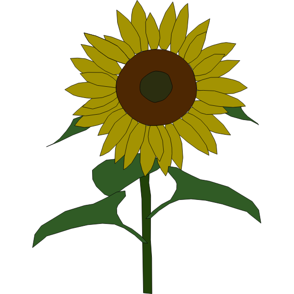 SVG Sunflower vector graphics
