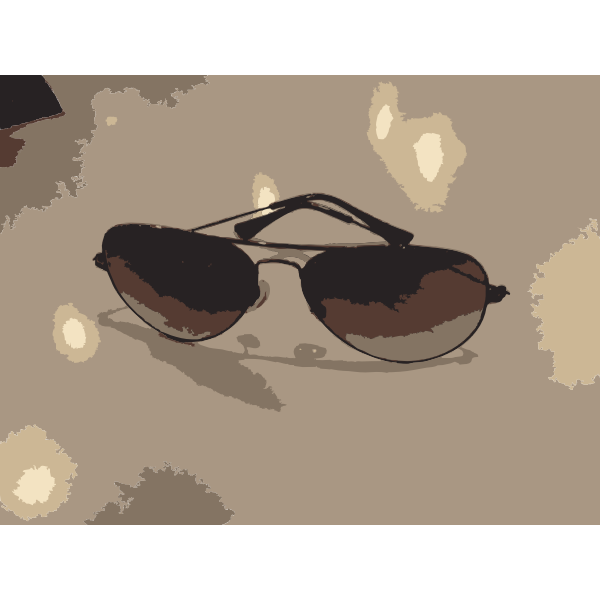 SVG Sunglasses on table vector image