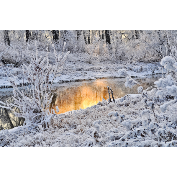 SVG Sunset In Winter