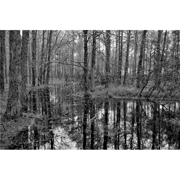 SVG Swamp 2 Grayscale
