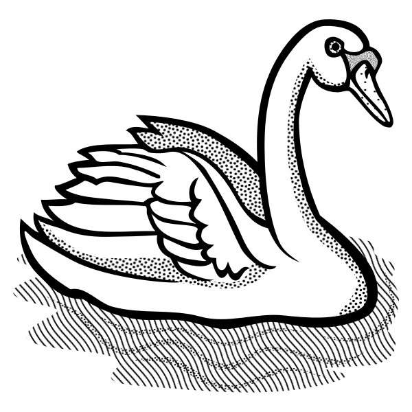 SVG Swan with part spotty feathers in water vector image