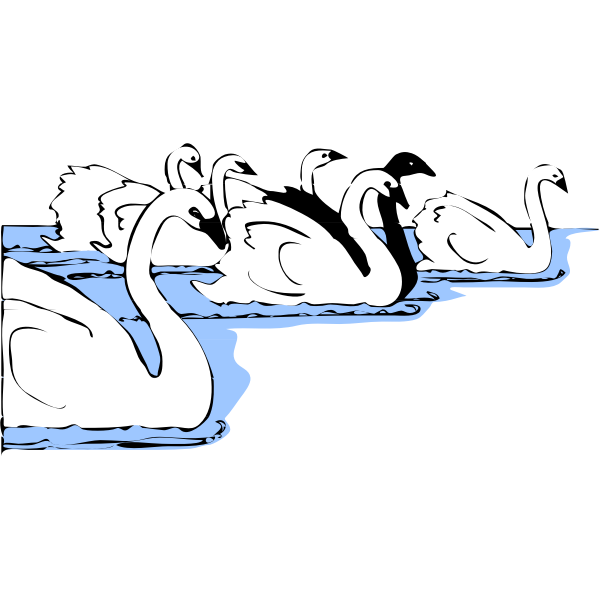 SVG Swans in water vector image