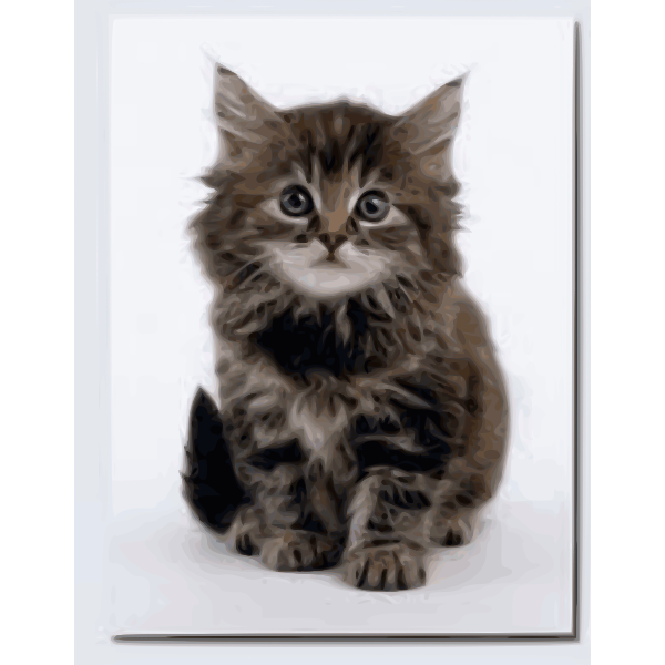SVG Sweet kitten vector image