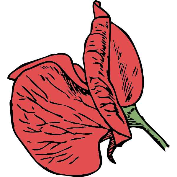 SVG sweet pea