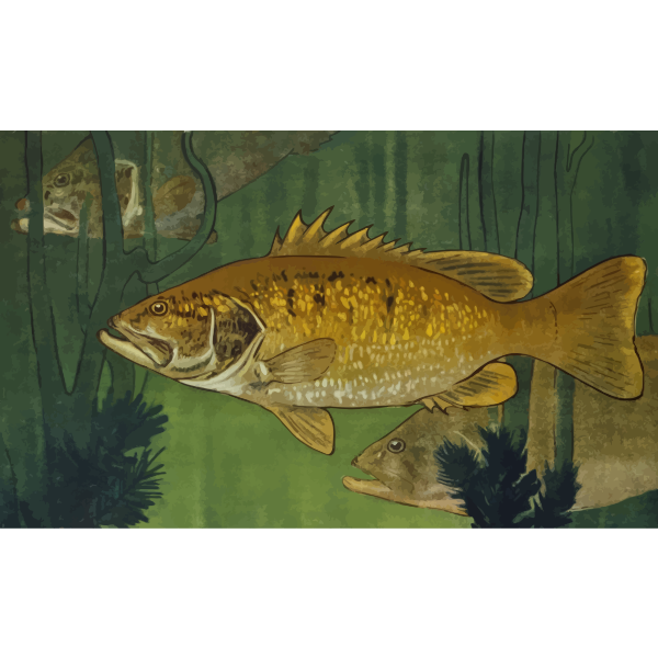 SVG Swimming fish