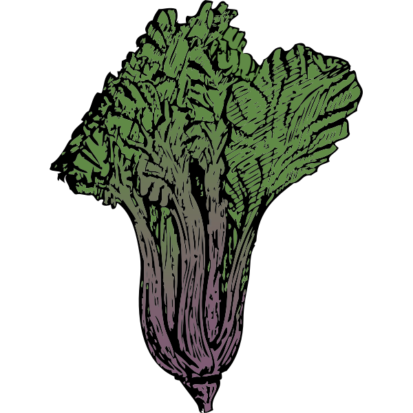 SVG Swiss chard