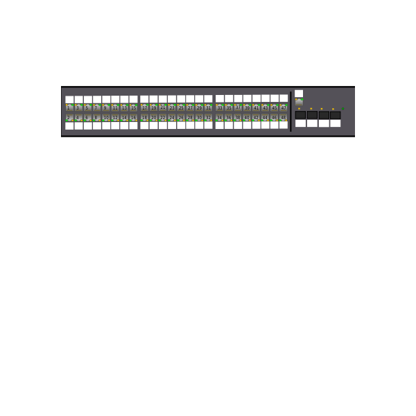 SVG Switch 48 port