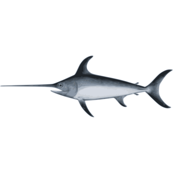SVG swordfish