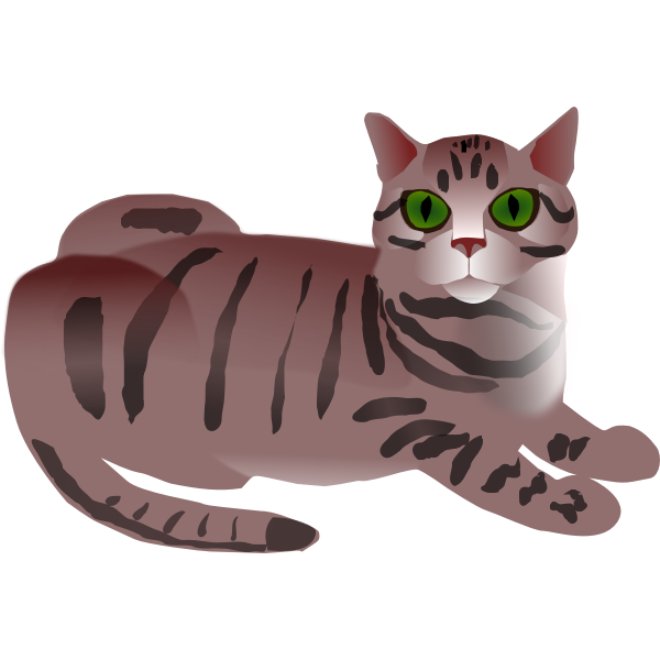 SVG Tabby Cat