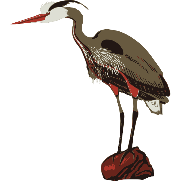 SVG Tall bird vector image
