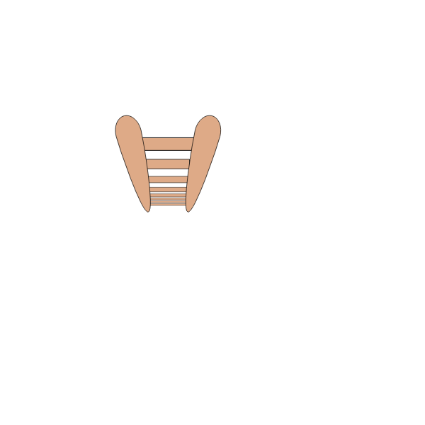 SVG Tall ladder vector image
