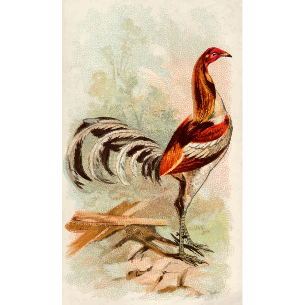 SVG Tall rooster