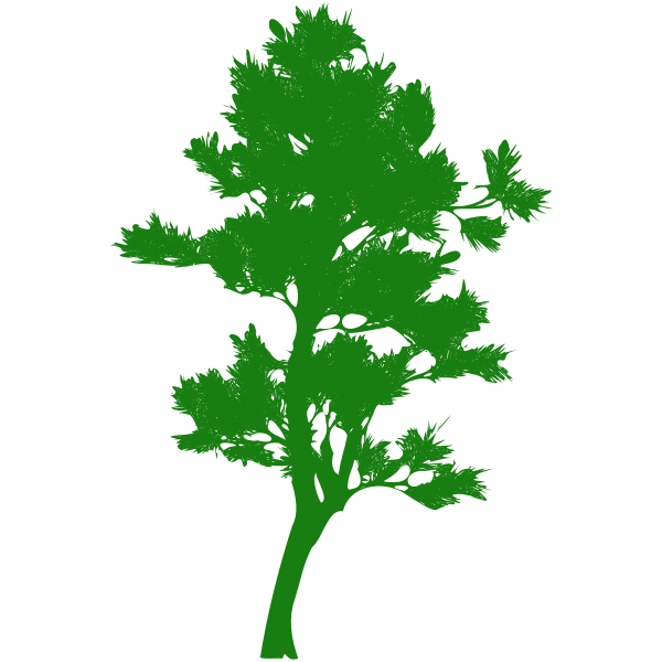 SVG Tall tree silhouette