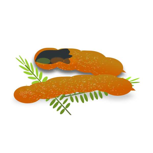 SVG Tamarind