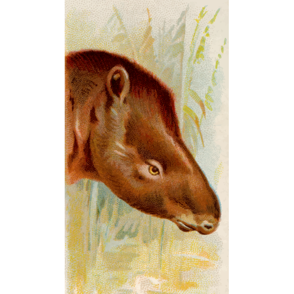 SVG Tapir039s head
