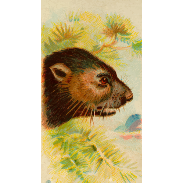 SVG Tasmanian devil