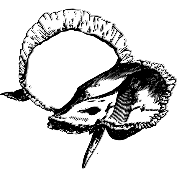 SVG Temporal bone image