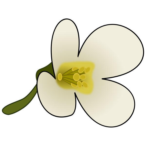 SVG Thaliana Flower