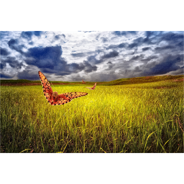 SVG The Field Sky And Butterflies