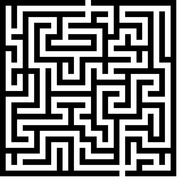 SVG The maze