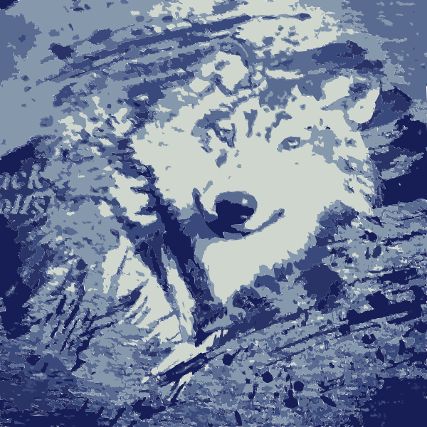 SVG The wolf from the wolfpack