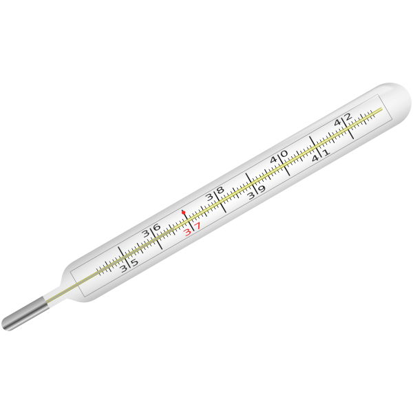 SVG Thermometer vector image