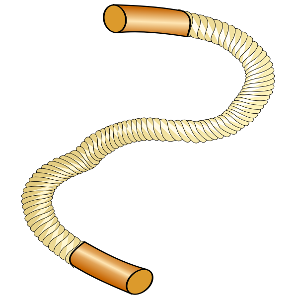SVG Thick sports rope vector image