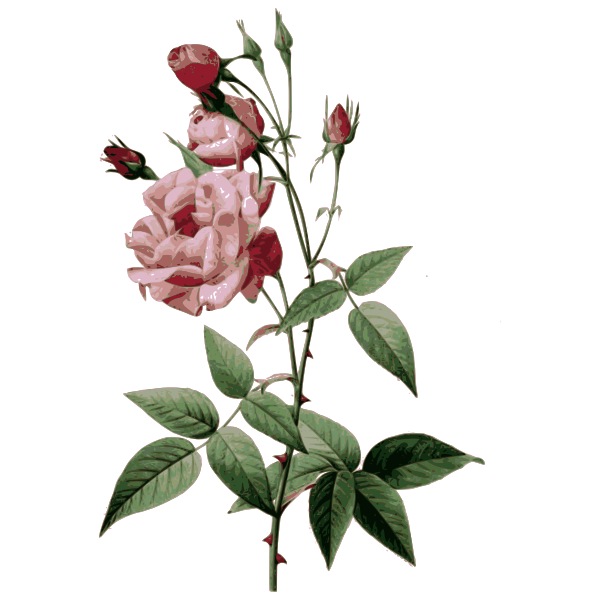 SVG Thorny roses