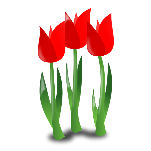 SVG Three tulips