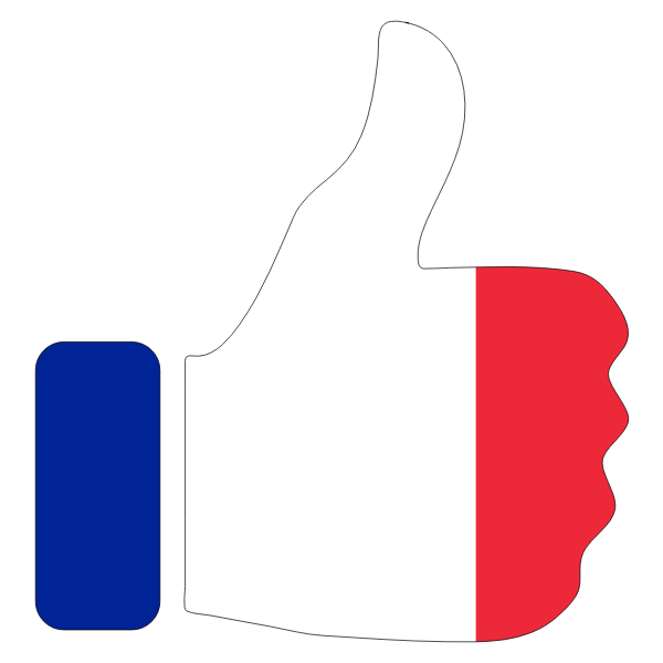 SVG Thumbs up with French flag