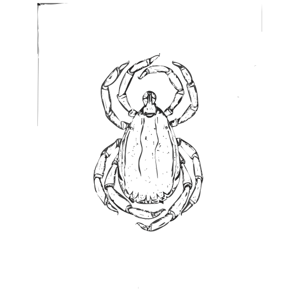 SVG Tick image for clip art UNCLASSIFIED