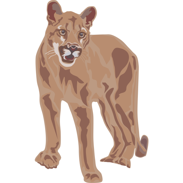 SVG tiger
