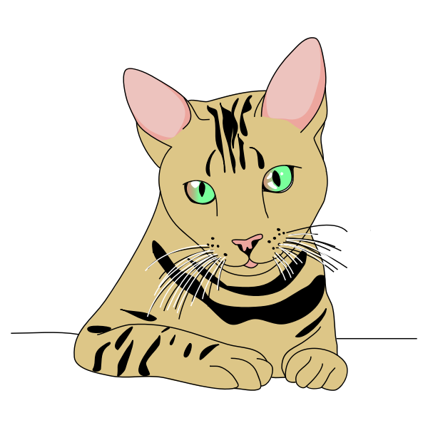 SVG Tiger cat