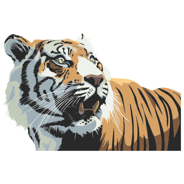SVG Tiger Head Illustration