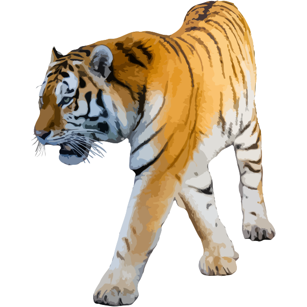 SVG Tiger vector illustration