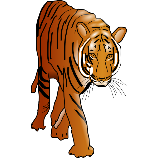 SVG Tiger wild cat