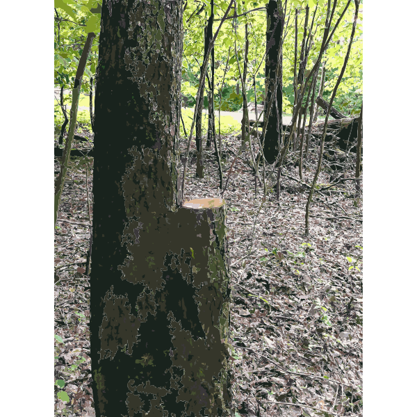 SVG Timber 1 2015071507