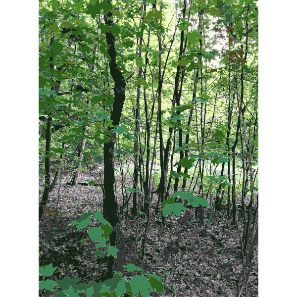 SVG Timber 3 2015071507