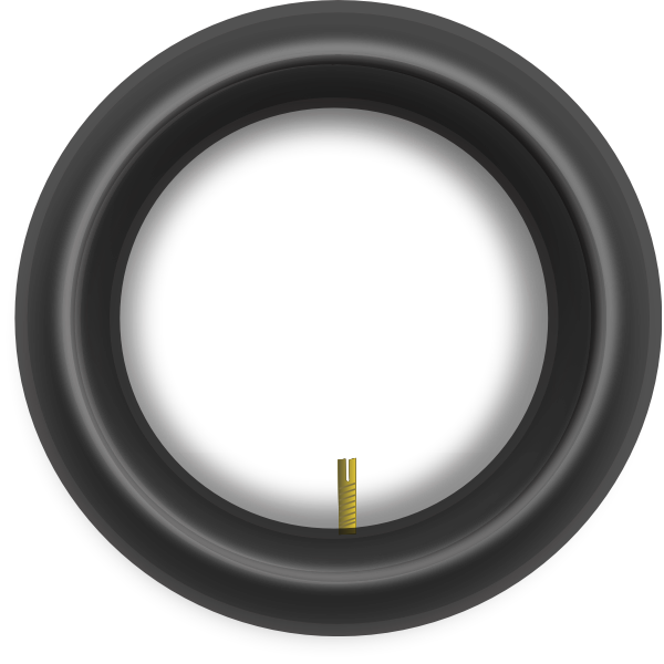 SVG Tire inner tube vector image