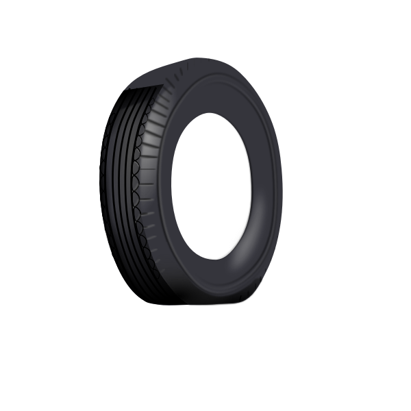 SVG Tire outer tube vector image