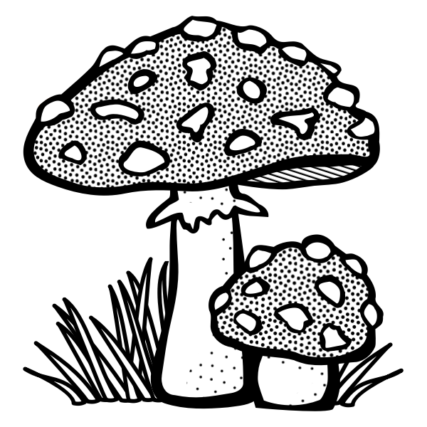 SVG Toadstool