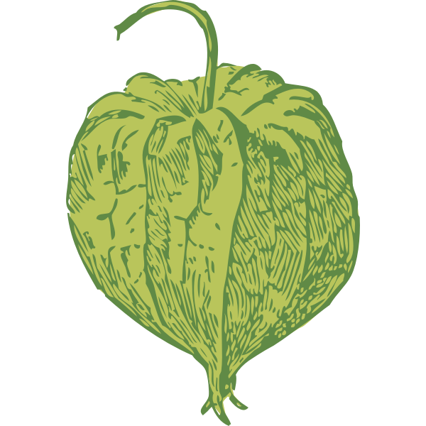 SVG tomatillo